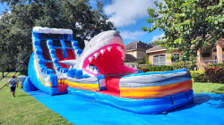 IMG 20240831 103422257 HDR 1725592408 21' Rip Curl Shark Attack Dual Extended Lane Waterslide