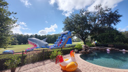 IMG 20240831 104029744 HDR 1725592409 21' Rip Curl Shark Attack Dual Extended Lane Waterslide